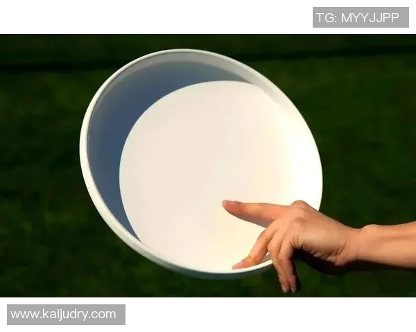 飞盘新手必看：快速掌握飞盘技巧与玩法的全面指南